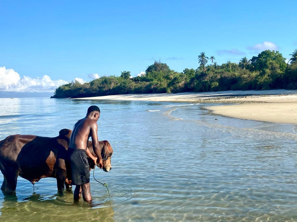 Kingstone Lodge Zanzibar Bet-el-Mali Dış mekan fotoğraf