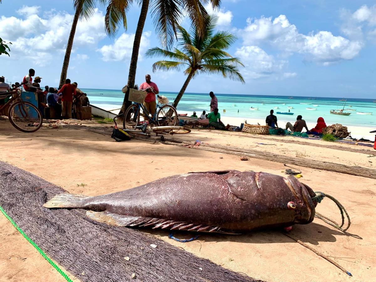 Kingstone Lodge Zanzibar Bet-el-Mali Dış mekan fotoğraf